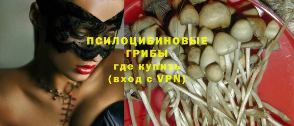 метадон Семёнов