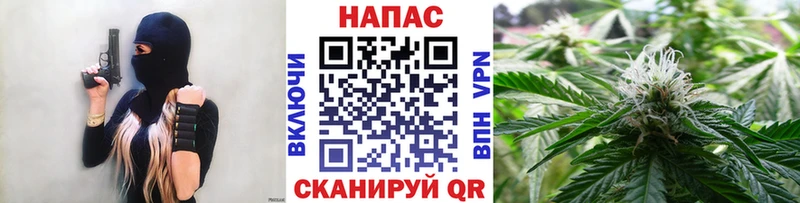 Бошки Шишки гибрид  Касимов 
